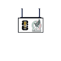 World Cup Football Sticker by Pudgy Penguins