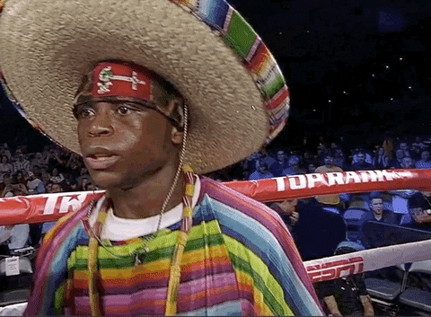 toprank giphyupload fight fighting espn GIF