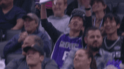 happy sacramento kings GIF by NBA