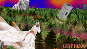 Dash Shaw Animation GIF by Magnolia Pictures