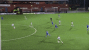 adrian cieslewicz the new saints GIF by TNSFC