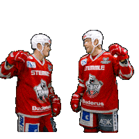 Hockey Del2 Sticker by Eisbären Regensburg