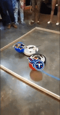 FanDuel fight sports football funny GIF