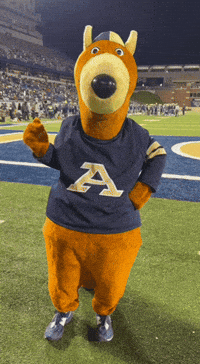 Sassy GIF by The University of Akron