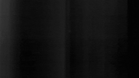 Football Sport GIF by SK Sturm Graz