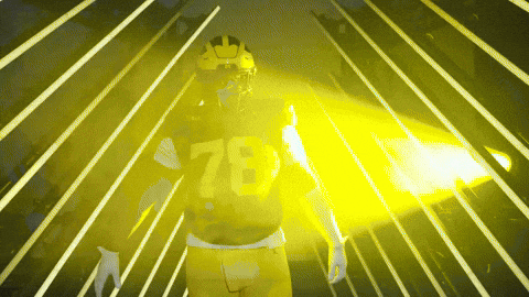 Go Blue Michigan Football GIF by Michigan Athletics