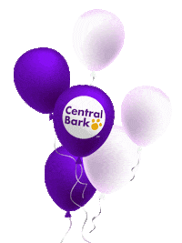Happy Birthday Sticker by Central Bark