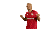 Bayer Leverkusen Dancing Sticker by Bundesliga
