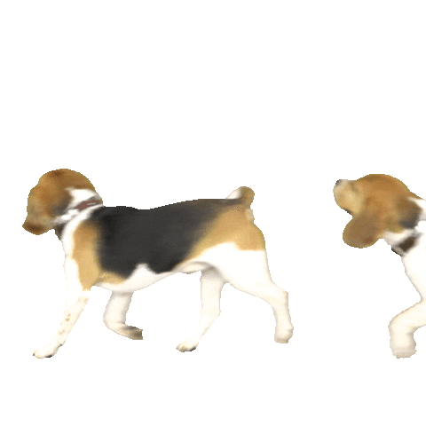 Happy Dog Sticker by Pets Deli