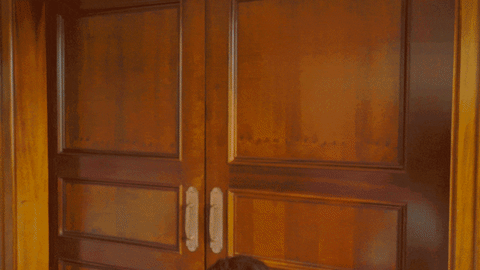 homeofmusic felipearaÃºjo GIF by Deezer Brasil