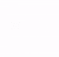 Youre The One GIF
