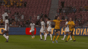 rslmarketing national womens soccer league utah royals utah royals fc nationalwomenssoccerleague GIF
