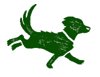 beco_pets dog pets beco dogrunning Sticker
