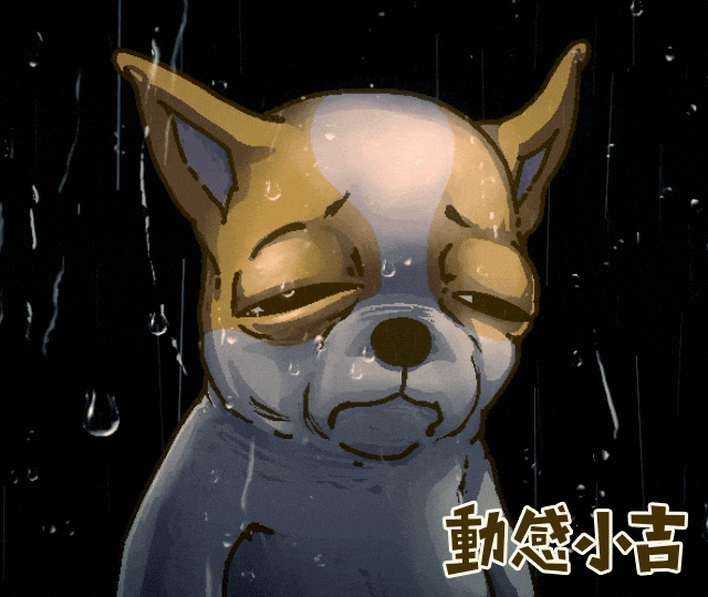 Animation Dog GIF