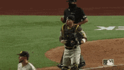 Happy Mlb GIF by San Diego Padres