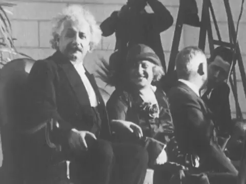 albert einstein GIF