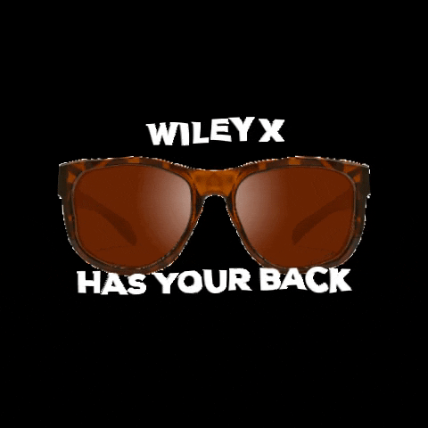Wileyxemea sunglasses eyewear wiley wileyxemea GIF