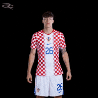 Fifa World Cup Uefa GIF by Respective