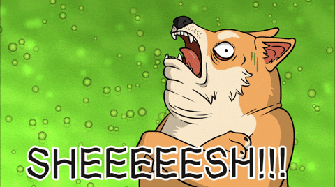 Reaction Gif GIF by Doge Pound