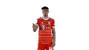 No Way Football Sticker by FC Bayern Munich