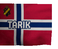 Tarik Elyounoussi Flag Sticker by Biblioteksgatan 8