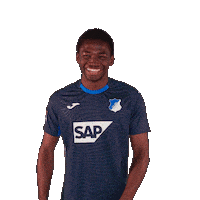 Sport Bundesliga Sticker by TSG Hoffenheim