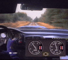 Motorsport Driving GIF by FIA World Rally Championship