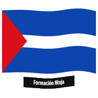 Castilla-La Mancha Flag Sticker by Formación Ninja