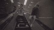 flume adventures GIF by Flume