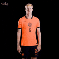 Fifa World Cup Uefa GIF by Respective