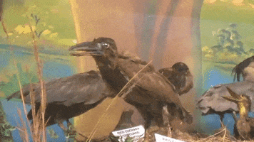 La Salle Art GIF by jorgemariozuleta