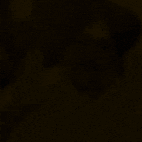 Punjabi Sidhu GIF
