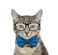 Entel Peru Monday Sticker by Entel