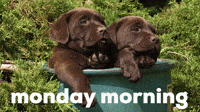 Monday Morning