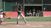 Paderborn GIF by Untouchables Paderborner Baseball Club e.V.