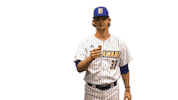 College Sports Baseball Sticker by Delaware Blue Hens