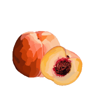 chloelaurenn fruit boho peach peachy Sticker