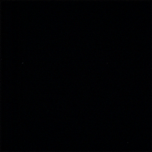 flash waves GIF by Erica Anderson