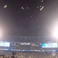 sb48 GIF by NFL
