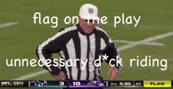 Nfl Flag GIF