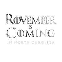 North Carolina Election Sticker by INTO ACTION