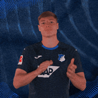 Sport Bundesliga GIF by TSG Hoffenheim