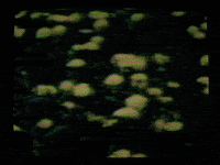 Dance Vintage GIF by Sony Music Australia