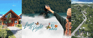 GIF animado