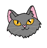 Cat Eyes Sticker