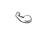 Damstrong Sticker by BeaverFitUSA