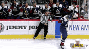 Ice Hockey Sport GIF by NHL