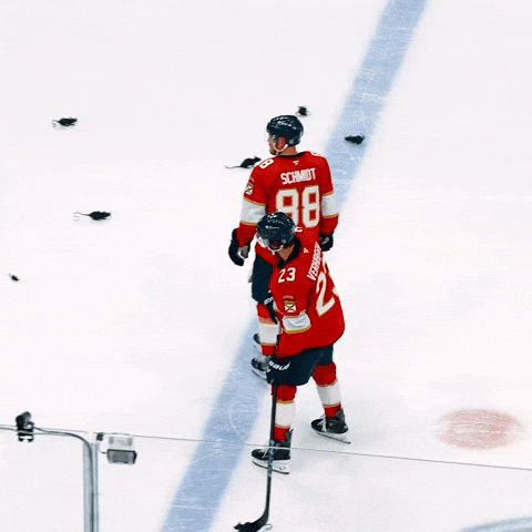 Celebration Win GIF by Florida Panthers
