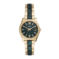 Accessories Watches Sticker by Fossil