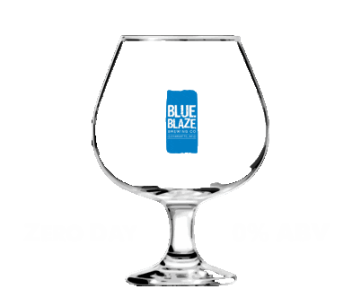 Seltzer Drinklocal Sticker by Blue Blaze Brewing